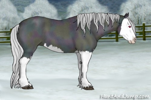 Horse Color:Midnight Silver Brown Chinchilla Ice Roan Onyx Splash 