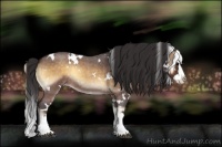 Horse Color:White Spotted Buckskin Roan Onyx Splash 