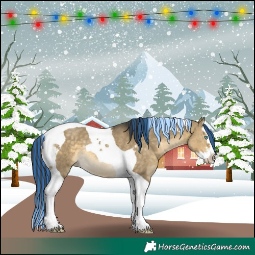 Horse Color:Painted White Spotted Buckskin Dun Splash Tobiano Rabicano 