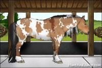 Horse Color:Gray White Spotted Bay Roan Dun