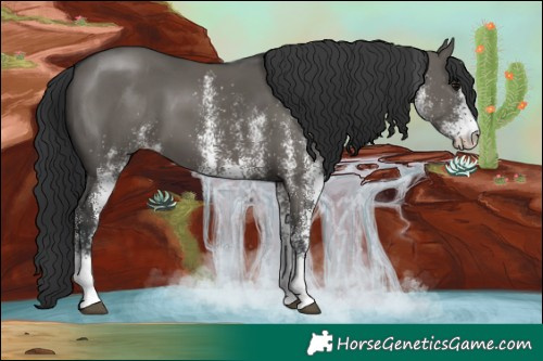 Horse Color:White Spotted Grullo