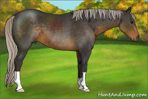 Horse Color:Silver Smoky Black 
