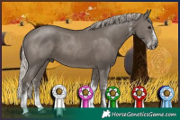 Horse Color:White Spotted Silver Black 