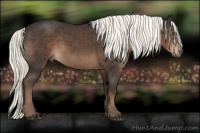 Horse Color:Liver Chestnut Mushroom 