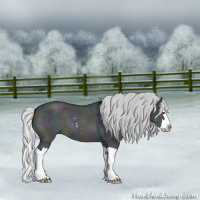 Horse Color:Midnight Silver Brown Chinchilla Roan Dun Sabino Splash 