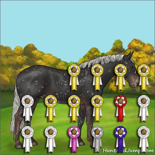 Horse Color:Liver Chestnut Mushroom Snowflake Varnish 