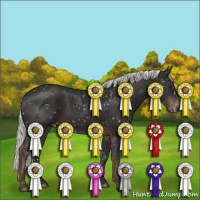 Horse Color:Liver Chestnut Mushroom Snowflake Varnish 