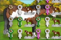 Horse Color:Bay Frame 