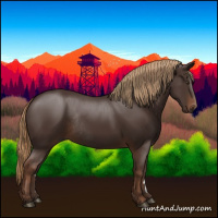 Horse Color:Liver Chestnut Rabicano 