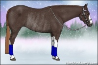 Horse Color:Liver Chestnut Rabicano 