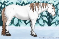 Horse Color:Liver Chestnut Tobiano Near Fewspot Rabicano 
