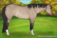 Horse Color:Brown Dun Rabicano 