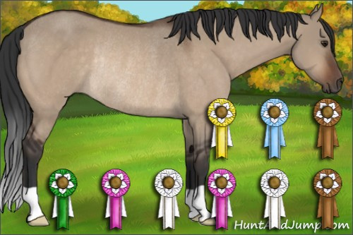 Horse Color:Brown Dun Rabicano