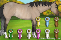 Horse Color:Brown Dun Rabicano