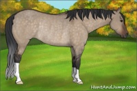 Horse Color:Brown Dun Rabicano 
