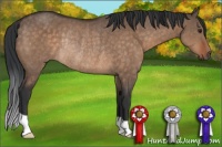Horse Color:Brown Dun Rabicano