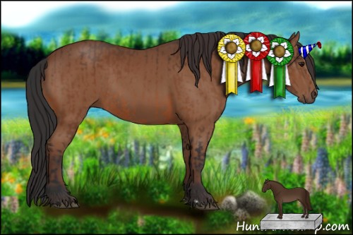 Horse Color:Brown Rabicano  and Bay Rabicano 