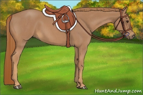 Horse Color:Red Roan 