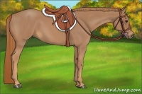 Horse Color:Red Roan 