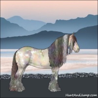 Horse Color:Nacre White Spotted Buckskin Chinchilla Ice Rabicano 