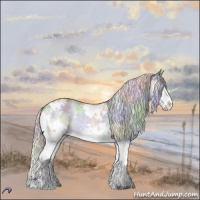 Horse Color:Nacre White Spotted Silver Brown Chinchilla Splash Rabicano 