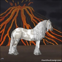 Horse Color:White Spotted Silver Smoky Grullo Chinchilla Tobiano