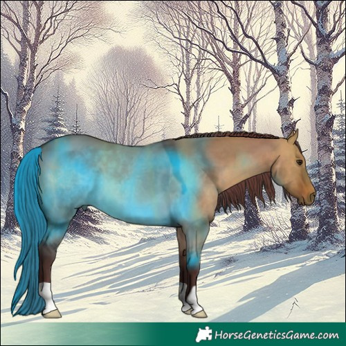 Horse Color:Chocolate Brown Dun 