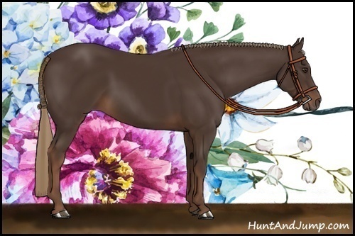 Horse Color:Liver Chestnut Rabicano 