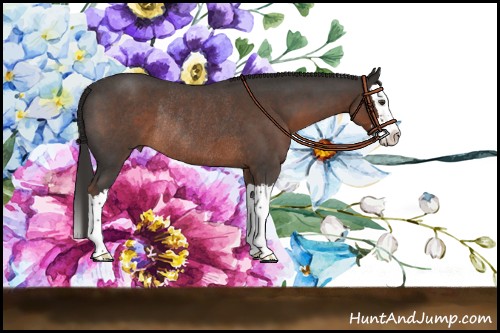 Horse Color:Liver Red Roan Splash Rabicano 