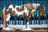 Horse Color:White Spotted Liver Chestnut Rabicano 
