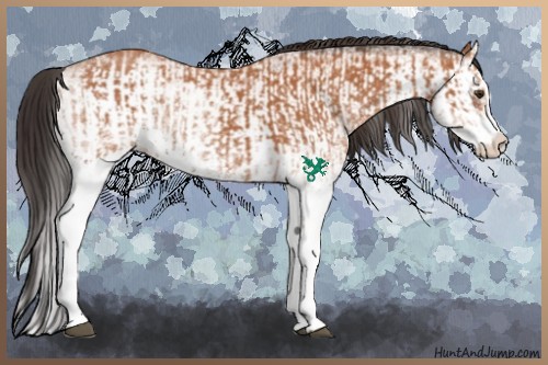 Horse Color:White Spotted Bay Splash  and White Spotted Bay Splash 