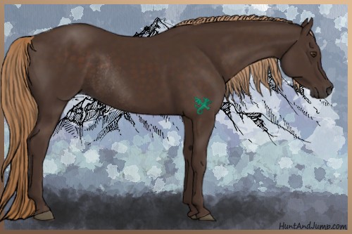 Horse Color:Liver Chestnut Rabicano