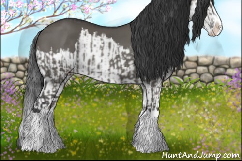 Horse Color:Grullo Sabino Splash  and Grullo Sabino Splash 