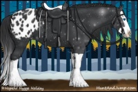 Horse Color:Black Splash Appaloosa 