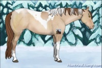 Horse Color:Brown Pearl Dun Sabino Tobiano