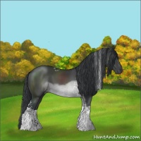 Horse Color:White Spotted Black Sabino