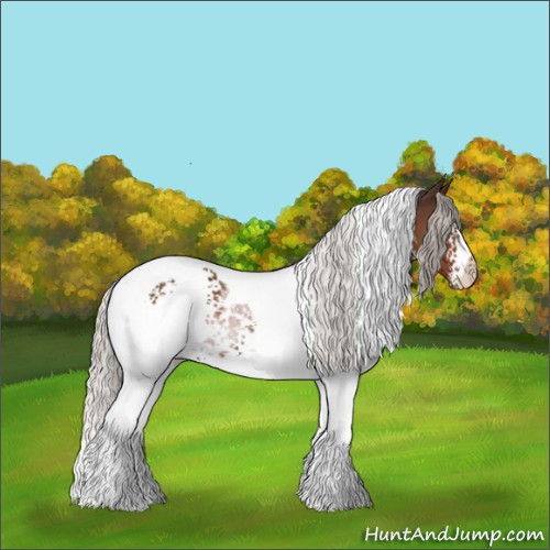 Horse Color:White Spotted Silver Brown Tobiano 