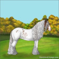 Horse Color:White Spotted Silver Brown Tobiano