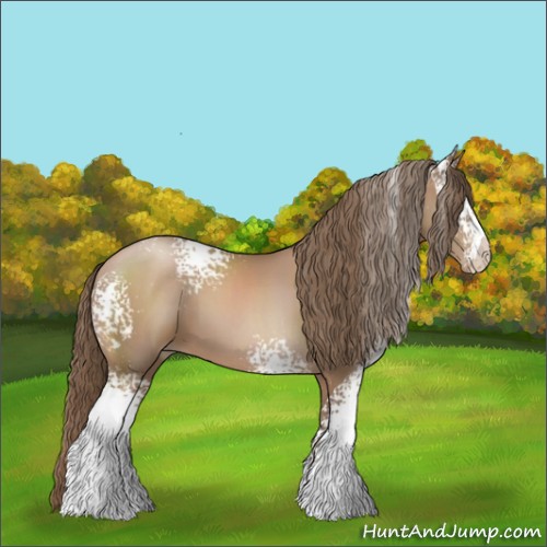 Horse Color:White Spotted Black Pearl Sabino 