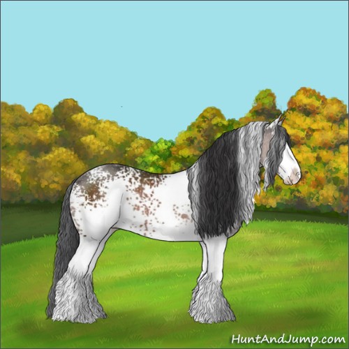 Horse Color:White Spotted Brown Sabino Rabicano 