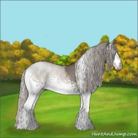 Horse Color:White Spotted Silver Black 
