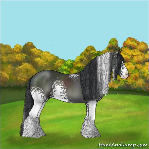 Horse Color:White Spotted Black 