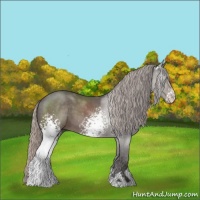 Horse Color:White Spotted Silver Black Sabino 