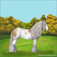 Horse Color:White Spotted Silver Black Pearl Sabino