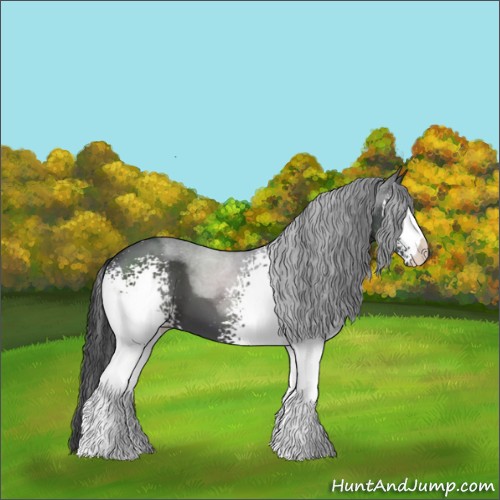 Horse Color:White Spotted Black