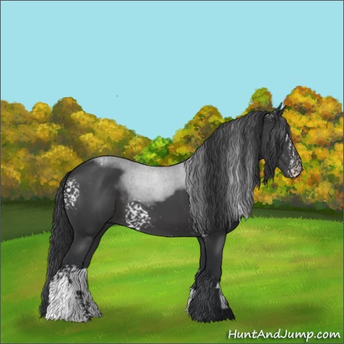 Horse Color:White Spotted Black 