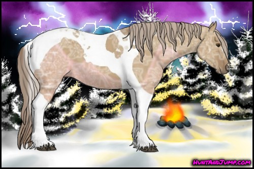 Horse Color:Chocolate Palomino Ice Dun Tobiano 