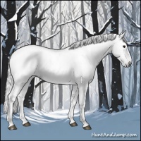 Horse Color:Gray Black 