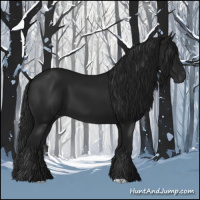 Horse Color:Gray Black 