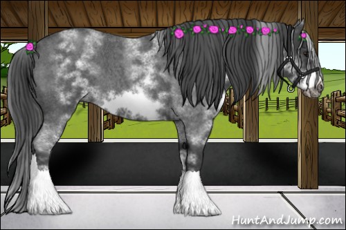 Horse Color:White Spotted Blue Roan Frame 